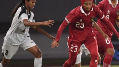 Sejarah Liga Sepak Bola Wanita: Perjuangan dan Prestasi
