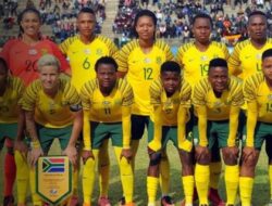 Tim Nasional Sepak Bola Wanita Afrika Selatan