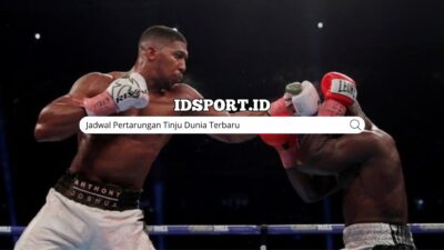 Jadwal Pertarungan Tinju Dunia Terbaru