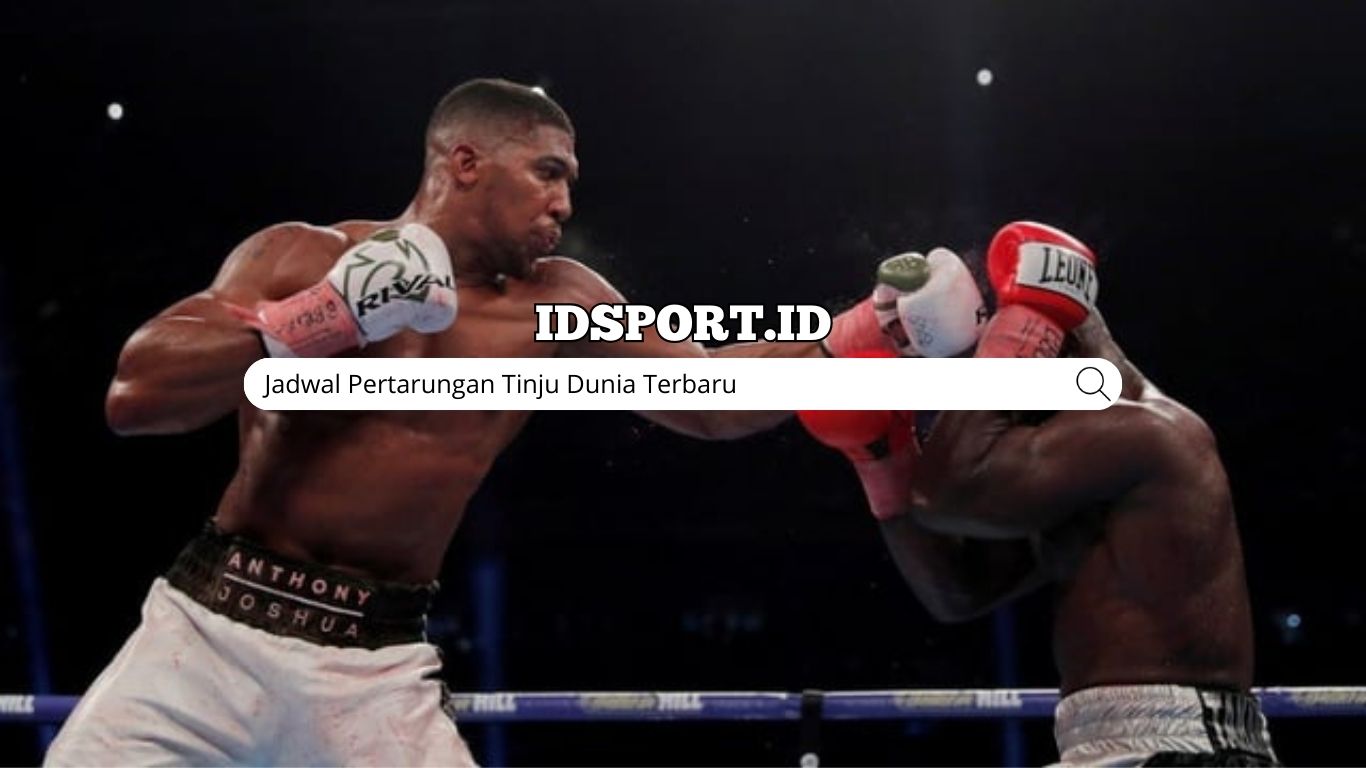 Jadwal Pertarungan Tinju Dunia Terbaru