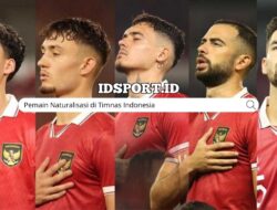Pemain Naturalisasi di Timnas Indonesia